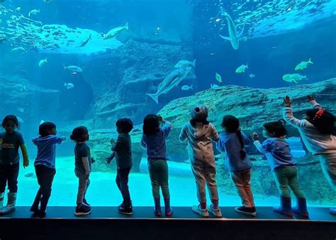 Kids Entertainment in Cape Town .